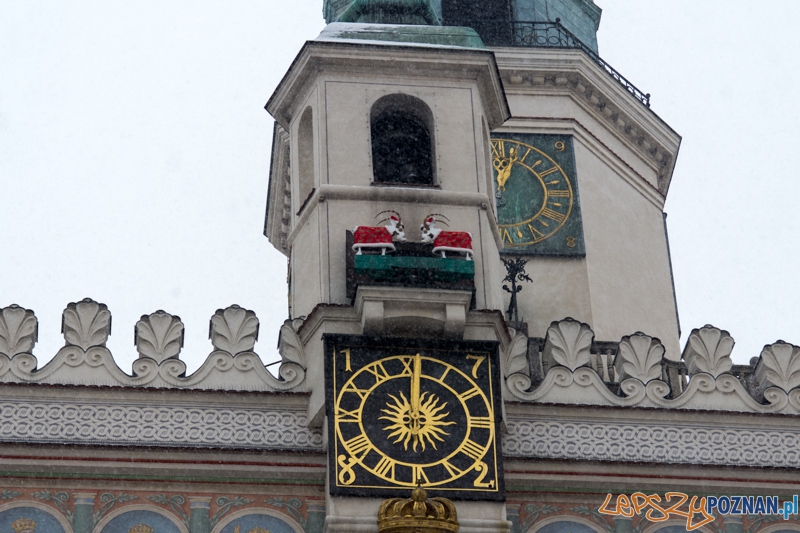 Mikołajkowe koziołki na wierzy ratuszowej Foto: lepszyPOZNAN.pl / Piotr Rychter Mikołajkowe koziołki na wierzy ratuszowej Foto: lepszyPOZNAN.pl / Piotr Rychter
