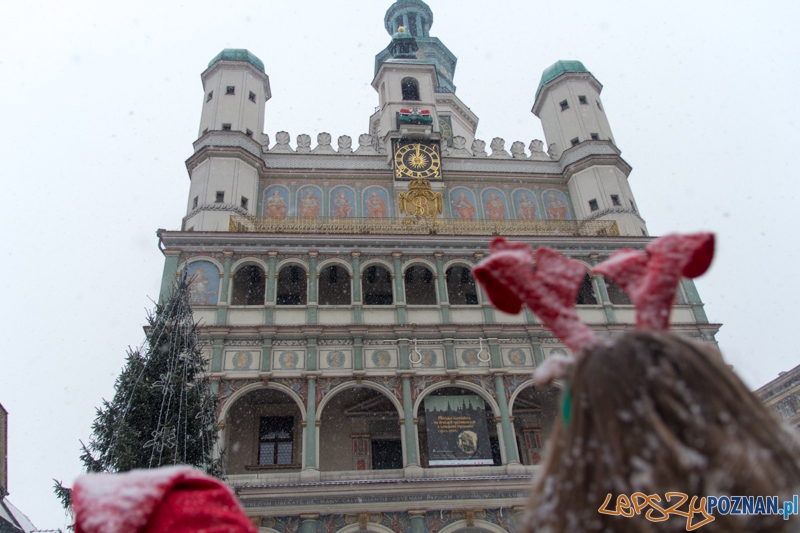 Mikołajkowe koziołki na wierzy ratuszowej Foto: lepszyPOZNAN.pl / Piotr Rychter Mikołajkowe koziołki na wierzy ratuszowej Foto: lepszyPOZNAN.pl / Piotr Rychter