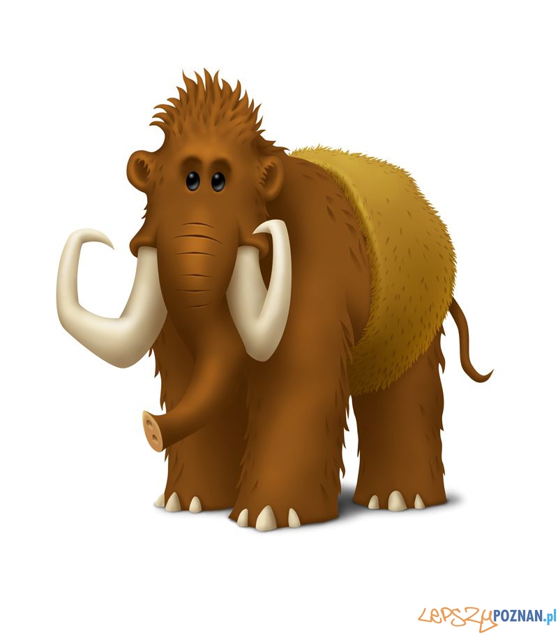 rys_Muzeum Archeologiczne w Poznaniu Foto: rys_Muzeum Archeologiczne w Poznaniu Foto: