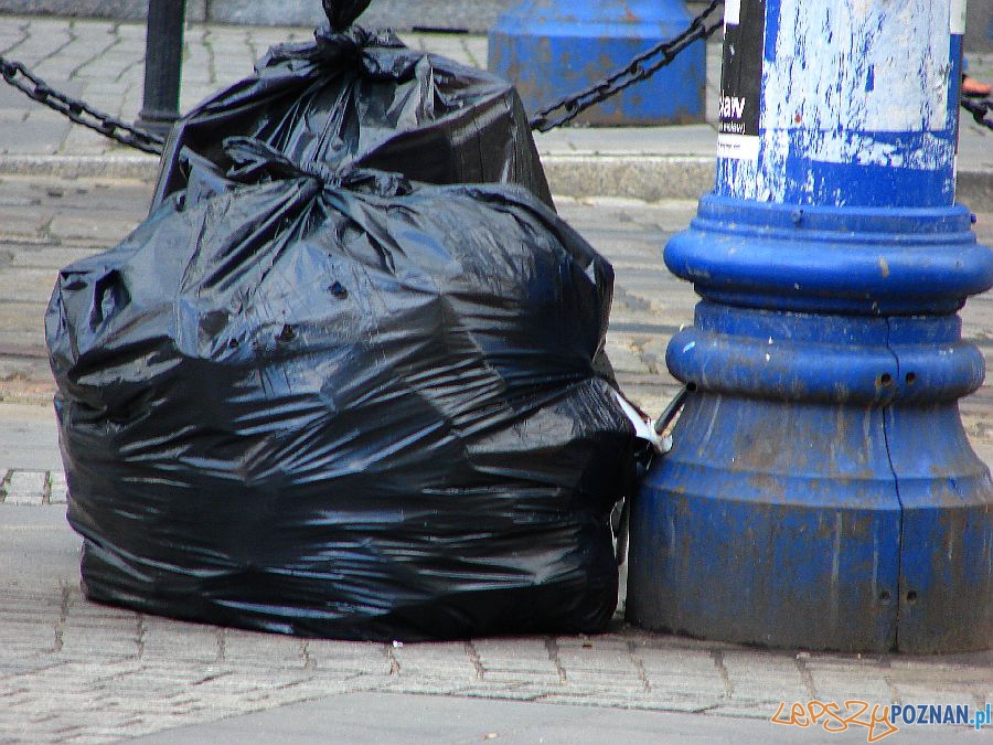 smieci Foto: materiały prasowe smieci Foto: materiały prasowe