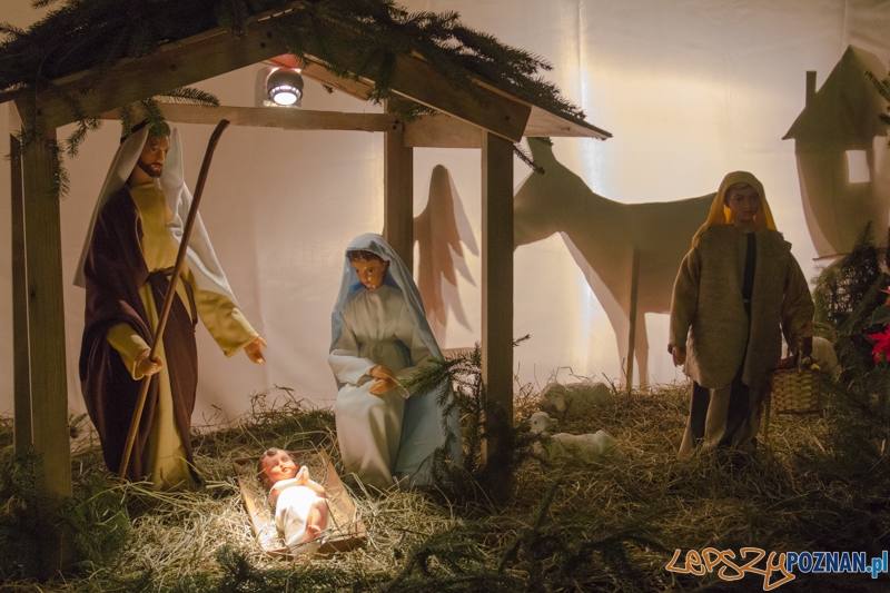 Szopka w kościele Karmelitów Bosych Foto: lepszyPOZNAN.pl / Piotr Rychter Szopka w kościele Karmelitów Bosych Foto: lepszyPOZNAN.pl / Piotr Rychter