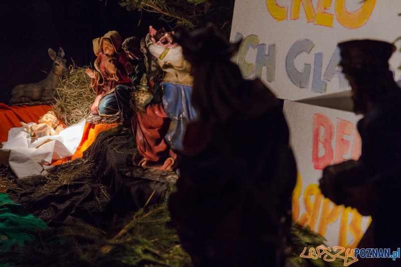 Szopka w Katedrze Foto: lepszyPOZNAN.pl / Piotr Rychter Szopka w Katedrze Foto: lepszyPOZNAN.pl / Piotr Rychter