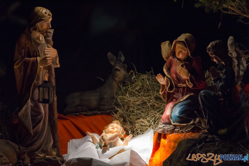 Szopka w Katedrze Foto: lepszyPOZNAN.pl / Piotr Rychter Szopka w Katedrze Foto: lepszyPOZNAN.pl / Piotr Rychter