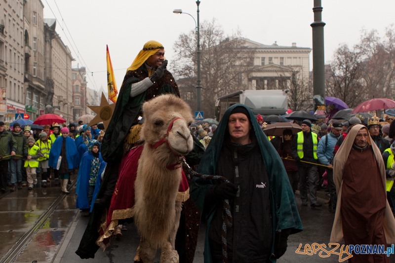 Orszak Trzech Króli - 06.01.2013 r. Foto: LepszyPOZNAN.pl / Paweł Rychter Orszak Trzech Króli - 06.01.2013 r. Foto: LepszyPOZNAN.pl / Paweł Rychter