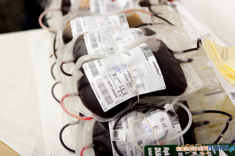 XXI Finał Wielkiej Orkiestry Świątecznej Pomocy - Poznań 13.01.2013 r. Foto: LepszyPOZNAN.pl / Paweł Rychter XXI Finał Wielkiej Orkiestry Świątecznej Pomocy - Poznań 13.01.2013 r. Foto: LepszyPOZNAN.pl / Paweł Rychter