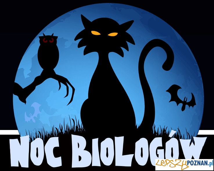 Noc Biologów  Foto: Noc Biologów