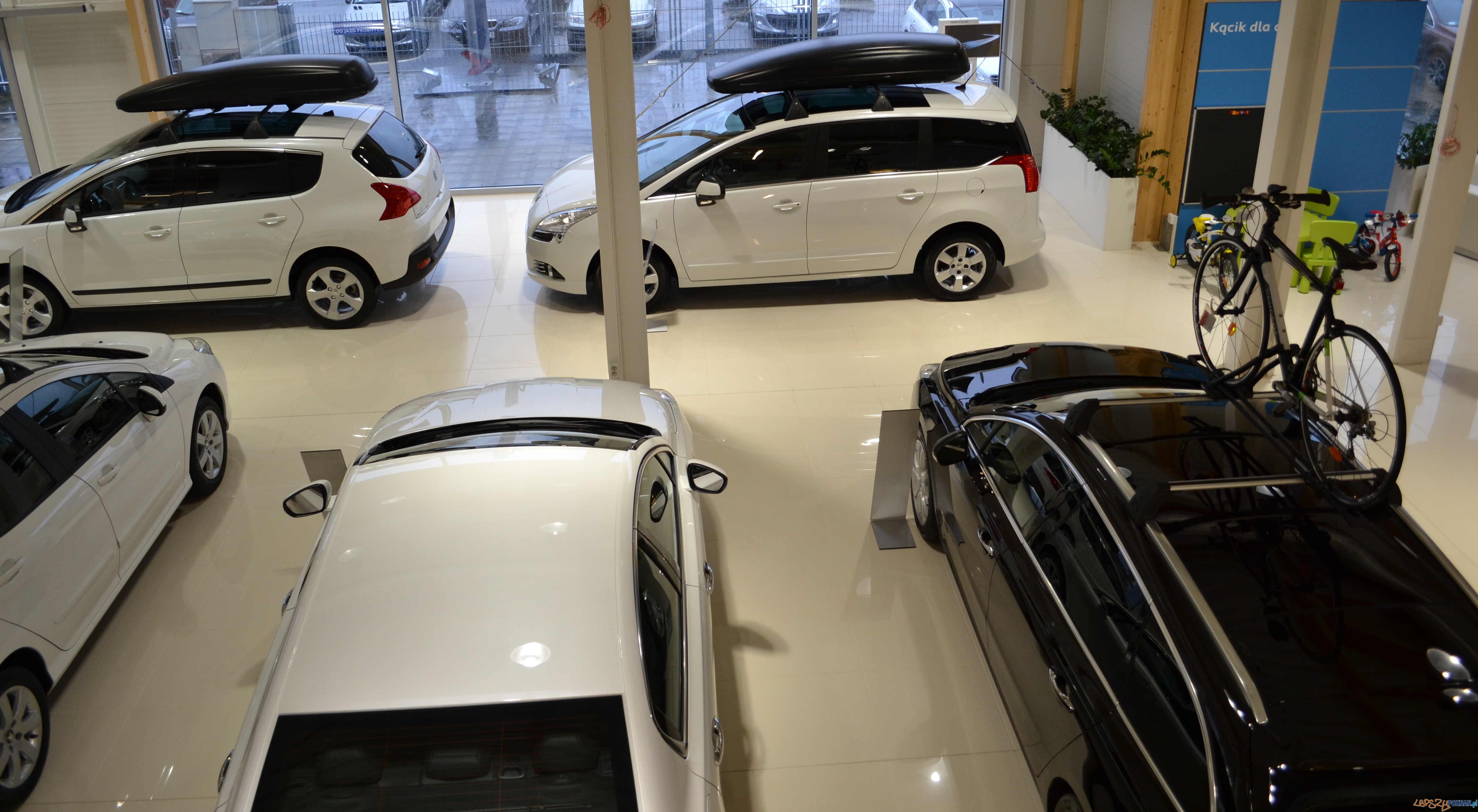 Spadki_są_widoczne_ale_spodziewane_jest_przebudzenie  Foto: materiały prasowe