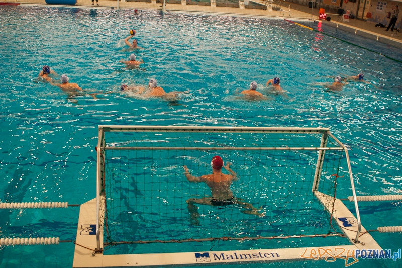 KS Waterpolo Poznań - Arkonia Szczecin 10:17 Foto: LepszyPOZNAN.pl / Paweł Rychter KS Waterpolo Poznań - Arkonia Szczecin 10:17 Foto: LepszyPOZNAN.pl / Paweł Rychter