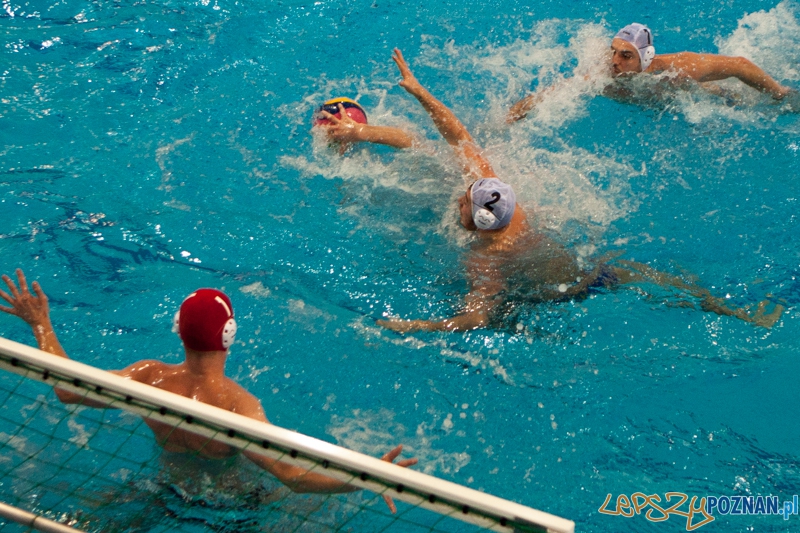 KS Waterpolo Poznań - Arkonia Szczecin 10:17 Foto: LepszyPOZNAN.pl / Paweł Rychter KS Waterpolo Poznań - Arkonia Szczecin 10:17 Foto: LepszyPOZNAN.pl / Paweł Rychter