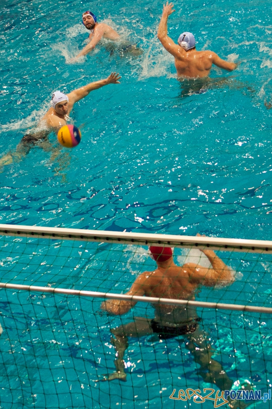 KS Waterpolo Poznań - Arkonia Szczecin 10:17 Foto: LepszyPOZNAN.pl / Paweł Rychter KS Waterpolo Poznań - Arkonia Szczecin 10:17 Foto: LepszyPOZNAN.pl / Paweł Rychter