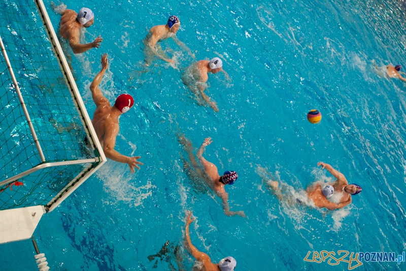 KS Waterpolo Poznań - Arkonia Szczecin 10:17 Foto: LepszyPOZNAN.pl / Paweł Rychter KS Waterpolo Poznań - Arkonia Szczecin 10:17 Foto: LepszyPOZNAN.pl / Paweł Rychter