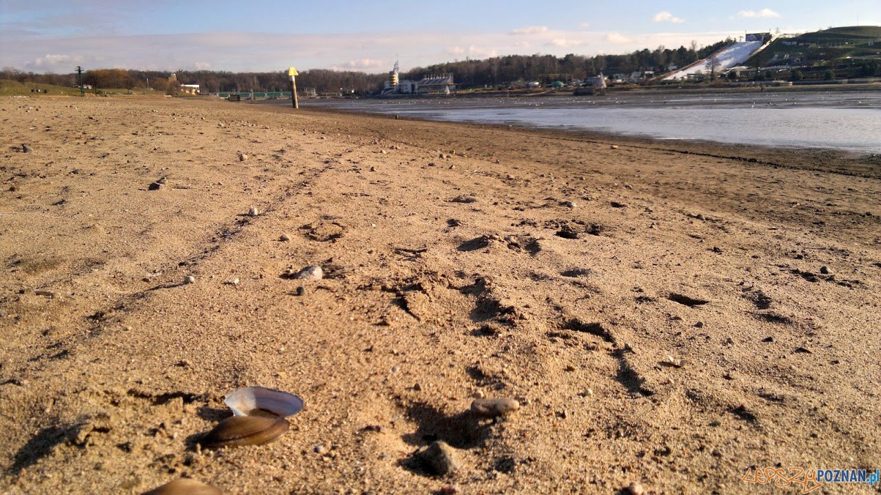 Niedzielny spacer po Poznaniu Foto: lepszyPOZNAN.pl / td Niedzielny spacer po Poznaniu Foto: lepszyPOZNAN.pl / td