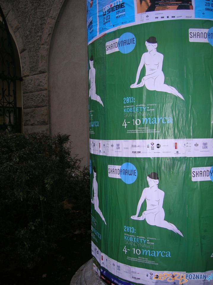 Pora na Skandynawie  Foto: facebook