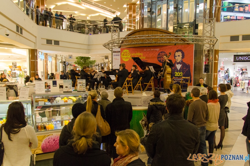203 urodziny Chopina - Orkiestra Kameralna Posnania - Poznań Plaza 24.02.2013 r. Foto: lepszyPOZNAN.pl / Piotr Rychter 203 urodziny Chopina - Orkiestra Kameralna Posnania - Poznań Plaza 24.02.2013 r. Foto: lepszyPOZNAN.pl / Piotr Rychter