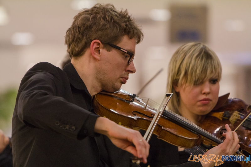 203 urodziny Chopina - Orkiestra Kameralna Posnania - Poznań Plaza 24.02.2013 r. Foto: lepszyPOZNAN.pl / Piotr Rychter 203 urodziny Chopina - Orkiestra Kameralna Posnania - Poznań Plaza 24.02.2013 r. Foto: lepszyPOZNAN.pl / Piotr Rychter
