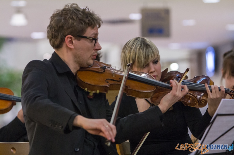 203 urodziny Chopina - Orkiestra Kameralna Posnania - Poznań Plaza 24.02.2013 r. Foto: lepszyPOZNAN.pl / Piotr Rychter 203 urodziny Chopina - Orkiestra Kameralna Posnania - Poznań Plaza 24.02.2013 r. Foto: lepszyPOZNAN.pl / Piotr Rychter