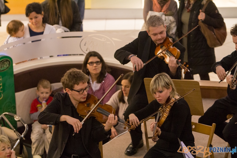 203 urodziny Chopina - Orkiestra Kameralna Posnania - Poznań Plaza 24.02.2013 r. Foto: lepszyPOZNAN.pl / Piotr Rychter 203 urodziny Chopina - Orkiestra Kameralna Posnania - Poznań Plaza 24.02.2013 r. Foto: lepszyPOZNAN.pl / Piotr Rychter