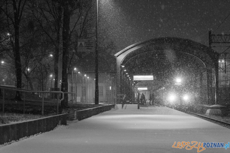 Dworzec letni - peron 4b Foto: lepszyPOZNAN.pl / Piotr Rychter Dworzec letni - peron 4b Foto: lepszyPOZNAN.pl / Piotr Rychter