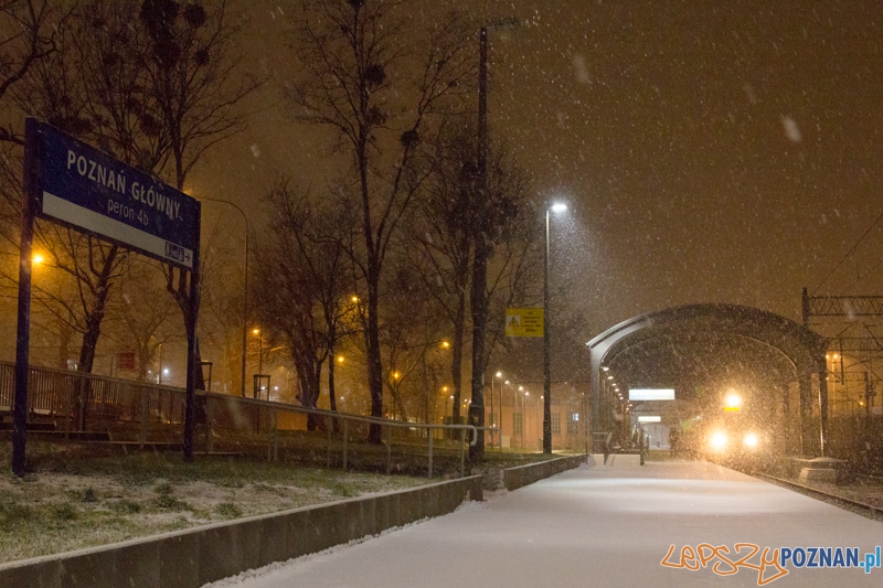 Dworzec letni - peron 4b Foto: lepszyPOZNAN.pl / Piotr Rychter Dworzec letni - peron 4b Foto: lepszyPOZNAN.pl / Piotr Rychter