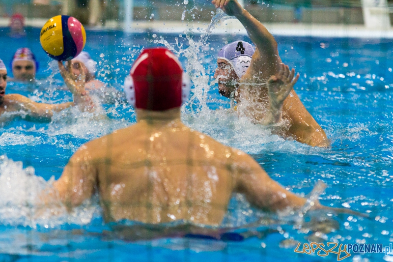 KS Alstal Waterpolo Poznań - Arkonia Szczecin - Termy Maltańskie 9.02.2013 r. Foto: lepszyPOZNAN.pl / Piotr Rychter KS Alstal Waterpolo Poznań - Arkonia Szczecin - Termy Maltańskie 9.02.2013 r. Foto: lepszyPOZNAN.pl / Piotr Rychter