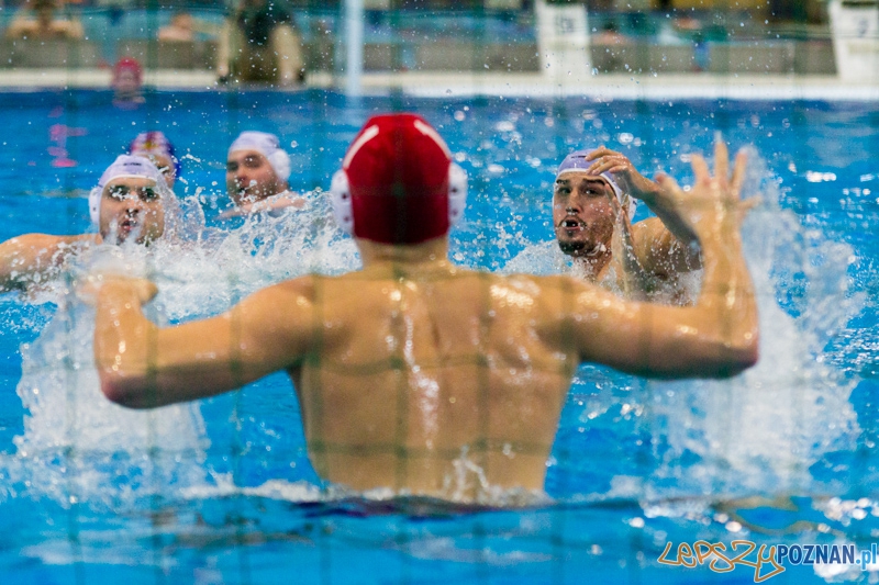KS Alstal Waterpolo Poznań - Arkonia Szczecin - Termy Maltańskie 9.02.2013 r. Foto: lepszyPOZNAN.pl / Piotr Rychter KS Alstal Waterpolo Poznań - Arkonia Szczecin - Termy Maltańskie 9.02.2013 r. Foto: lepszyPOZNAN.pl / Piotr Rychter