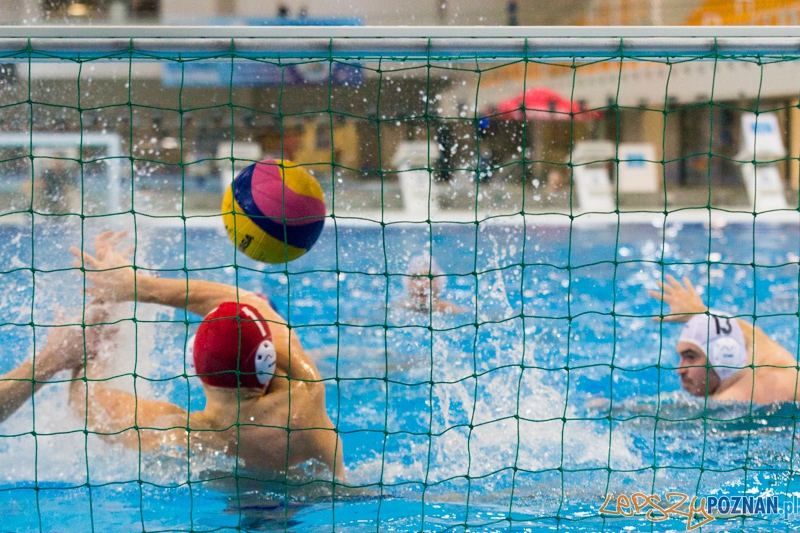 KS Alstal Waterpolo Poznań - Arkonia Szczecin - Termy Maltańskie 9.02.2013 r. Foto: lepszyPOZNAN.pl / Piotr Rychter KS Alstal Waterpolo Poznań - Arkonia Szczecin - Termy Maltańskie 9.02.2013 r. Foto: lepszyPOZNAN.pl / Piotr Rychter