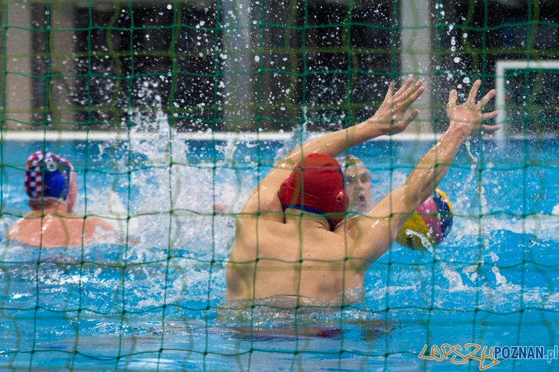 KS Alstal Waterpolo Poznań - Arkonia Szczecin - Termy Maltańskie 9.02.2013 r. Foto: lepszyPOZNAN.pl / Piotr Rychter KS Alstal Waterpolo Poznań - Arkonia Szczecin - Termy Maltańskie 9.02.2013 r. Foto: lepszyPOZNAN.pl / Piotr Rychter