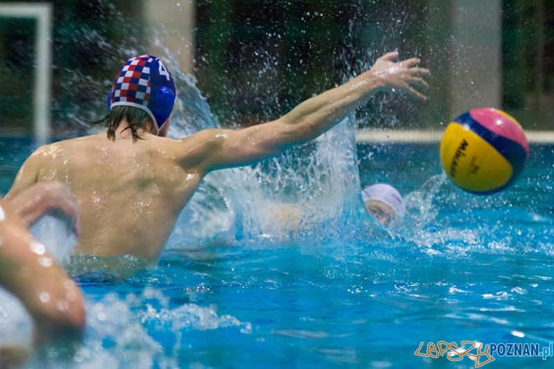 KS Alstal Waterpolo Poznań - Arkonia Szczecin - Termy Maltańskie 9.02.2013 r. Foto: lepszyPOZNAN.pl / Piotr Rychter KS Alstal Waterpolo Poznań - Arkonia Szczecin - Termy Maltańskie 9.02.2013 r. Foto: lepszyPOZNAN.pl / Piotr Rychter