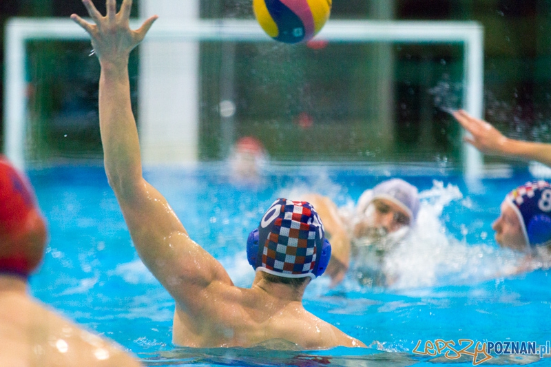 KS Alstal Waterpolo Poznań - Arkonia Szczecin - Termy Maltańskie 9.02.2013 r. Foto: lepszyPOZNAN.pl / Piotr Rychter KS Alstal Waterpolo Poznań - Arkonia Szczecin - Termy Maltańskie 9.02.2013 r. Foto: lepszyPOZNAN.pl / Piotr Rychter