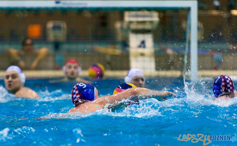 KS Alstal Waterpolo Poznań - Arkonia Szczecin - Termy Maltańskie 9.02.2013 r. Foto: lepszyPOZNAN.pl / Piotr Rychter KS Alstal Waterpolo Poznań - Arkonia Szczecin - Termy Maltańskie 9.02.2013 r. Foto: lepszyPOZNAN.pl / Piotr Rychter