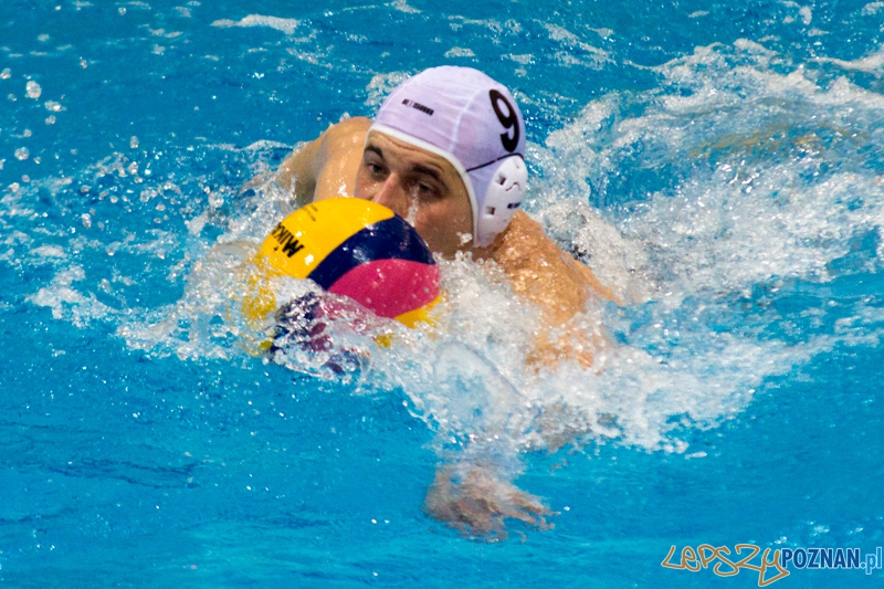 KS Alstal Waterpolo Poznań - Arkonia Szczecin - Termy Maltańskie 9.02.2013 r. Foto: lepszyPOZNAN.pl / Piotr Rychter KS Alstal Waterpolo Poznań - Arkonia Szczecin - Termy Maltańskie 9.02.2013 r. Foto: lepszyPOZNAN.pl / Piotr Rychter