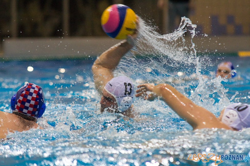 KS Alstal Waterpolo Poznań - Arkonia Szczecin - Termy Maltańskie 9.02.2013 r. Foto: lepszyPOZNAN.pl / Piotr Rychter KS Alstal Waterpolo Poznań - Arkonia Szczecin - Termy Maltańskie 9.02.2013 r. Foto: lepszyPOZNAN.pl / Piotr Rychter