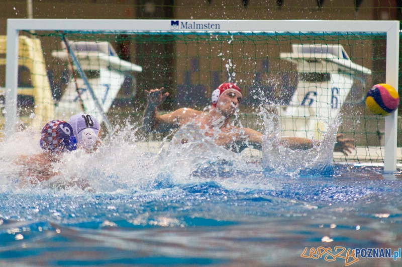 KS Alstal Waterpolo Poznań - Arkonia Szczecin - Termy Maltańskie 9.02.2013 r. Foto: lepszyPOZNAN.pl / Piotr Rychter KS Alstal Waterpolo Poznań - Arkonia Szczecin - Termy Maltańskie 9.02.2013 r. Foto: lepszyPOZNAN.pl / Piotr Rychter