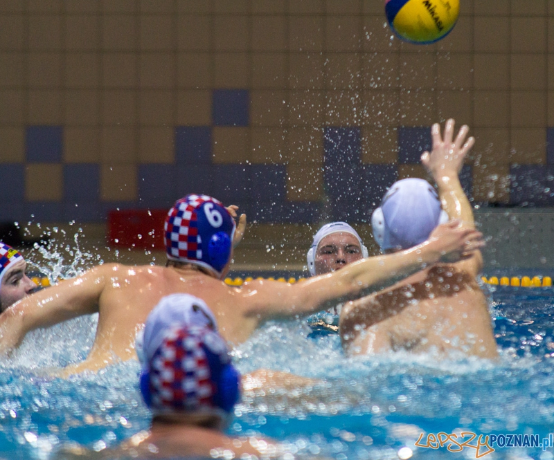 KS Alstal Waterpolo Poznań - Arkonia Szczecin - Termy Maltańskie 9.02.2013 r. Foto: lepszyPOZNAN.pl / Piotr Rychter KS Alstal Waterpolo Poznań - Arkonia Szczecin - Termy Maltańskie 9.02.2013 r. Foto: lepszyPOZNAN.pl / Piotr Rychter