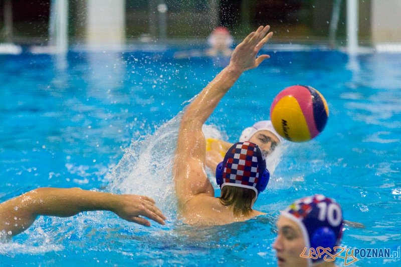 KS Alstal Waterpolo Poznań - Arkonia Szczecin - Termy Maltańskie 9.02.2013 r. Foto: lepszyPOZNAN.pl / Piotr Rychter KS Alstal Waterpolo Poznań - Arkonia Szczecin - Termy Maltańskie 9.02.2013 r. Foto: lepszyPOZNAN.pl / Piotr Rychter