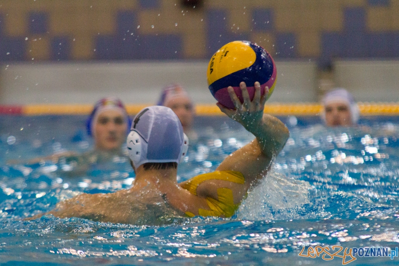 KS Alstal Waterpolo Poznań - Arkonia Szczecin - Termy Maltańskie 9.02.2013 r. Foto: lepszyPOZNAN.pl / Piotr Rychter KS Alstal Waterpolo Poznań - Arkonia Szczecin - Termy Maltańskie 9.02.2013 r. Foto: lepszyPOZNAN.pl / Piotr Rychter