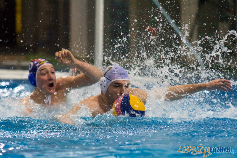 KS Alstal Waterpolo Poznań - Arkonia Szczecin - Termy Maltańskie 9.02.2013 r. Foto: lepszyPOZNAN.pl / Piotr Rychter KS Alstal Waterpolo Poznań - Arkonia Szczecin - Termy Maltańskie 9.02.2013 r. Foto: lepszyPOZNAN.pl / Piotr Rychter