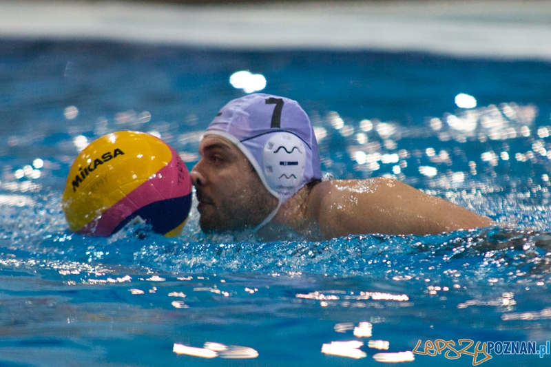 KS Alstal Waterpolo Poznań - Arkonia Szczecin - Termy Maltańskie 9.02.2013 r. Foto: lepszyPOZNAN.pl / Piotr Rychter KS Alstal Waterpolo Poznań - Arkonia Szczecin - Termy Maltańskie 9.02.2013 r. Foto: lepszyPOZNAN.pl / Piotr Rychter
