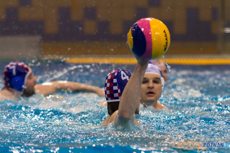 KS Alstal Waterpolo Poznań - Arkonia Szczecin - Termy Maltańskie 9.02.2013 r. Foto: lepszyPOZNAN.pl / Piotr Rychter KS Alstal Waterpolo Poznań - Arkonia Szczecin - Termy Maltańskie 9.02.2013 r. Foto: lepszyPOZNAN.pl / Piotr Rychter