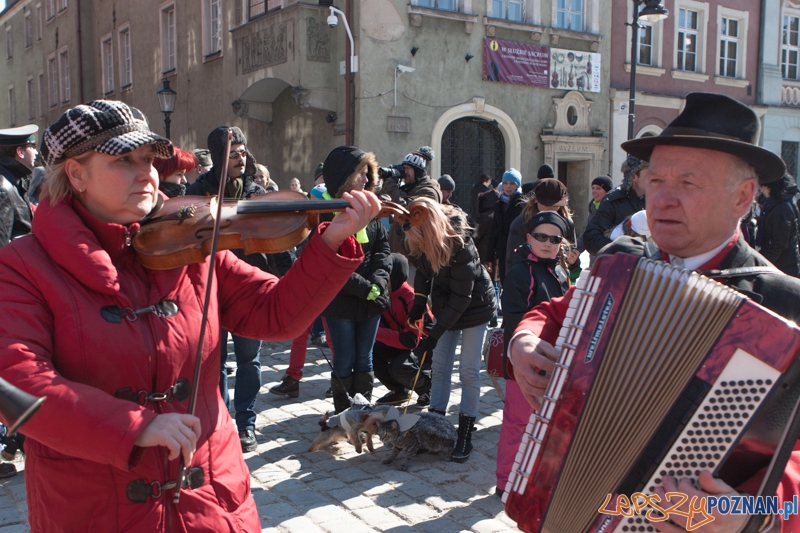 Parada Przyjaciół - 23.03.2013 r. Foto: LepszyPOZNAN.pl / Paweł Rychter Parada Przyjaciół - 23.03.2013 r. Foto: LepszyPOZNAN.pl / Paweł Rychter