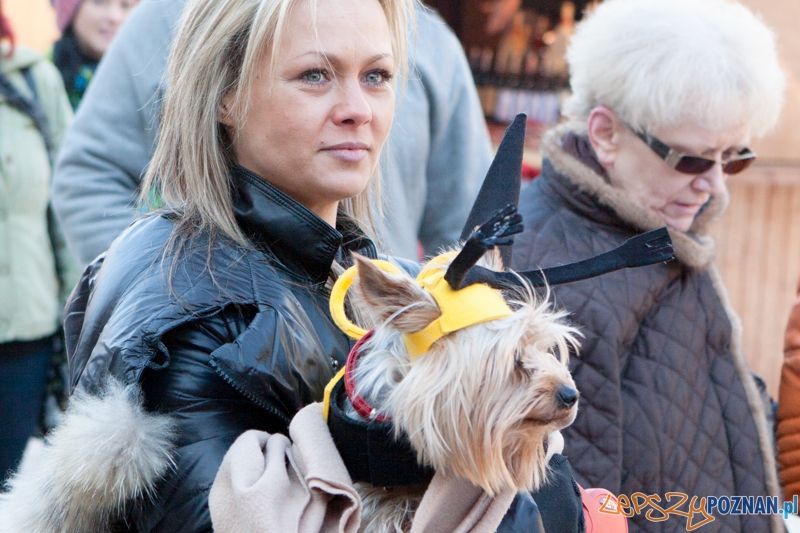 Parada Przyjaciół - 23.03.2013 r. Foto: LepszyPOZNAN.pl / Paweł Rychter Parada Przyjaciół - 23.03.2013 r. Foto: LepszyPOZNAN.pl / Paweł Rychter