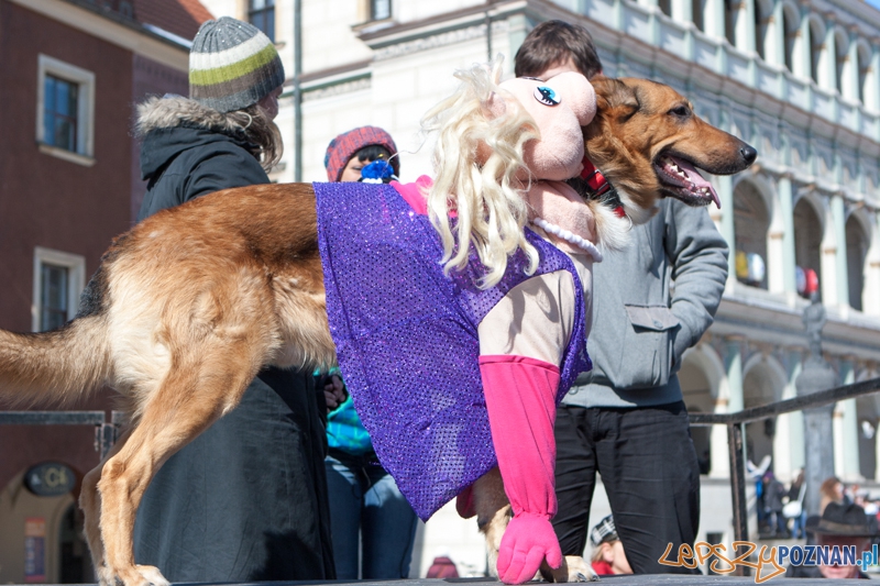 Parada Przyjaciół - 23.03.2013 r. Foto: LepszyPOZNAN.pl / Paweł Rychter Parada Przyjaciół - 23.03.2013 r. Foto: LepszyPOZNAN.pl / Paweł Rychter