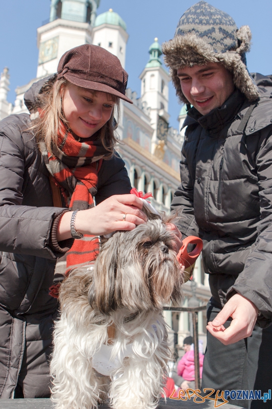 Parada Przyjaciół - 23.03.2013 r. Foto: LepszyPOZNAN.pl / Paweł Rychter Parada Przyjaciół - 23.03.2013 r. Foto: LepszyPOZNAN.pl / Paweł Rychter