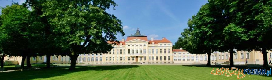 Pałac w Rogalinie - 2011 rok  Foto: Muzeum Narodowe w Poznaniu