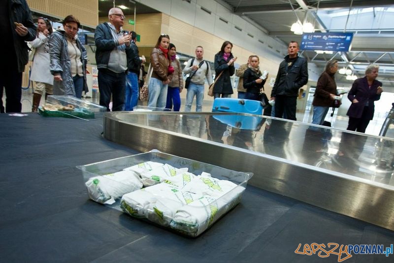 Warm welcome (3) Foto: materiały pr Warm welcome (3) Foto: materiały pr