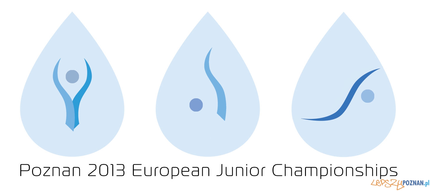 Mistrzostw Europy Juniorów 2013 Poznań  Foto: 