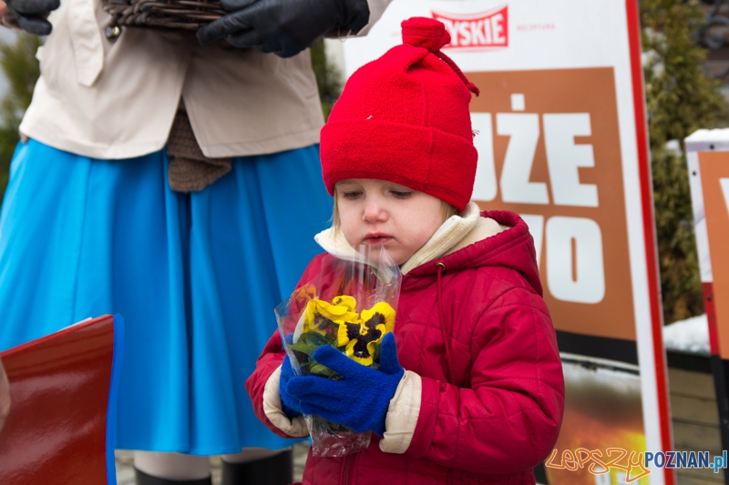 Światowy Dzień Wody - Hanka bohaterka reklamy Aquanetu wręcza kwiaty poznaniakom Foto: lepszyPOZNAN.pl / Piotr Rychter Światowy Dzień Wody - Hanka bohaterka reklamy Aquanetu wręcza kwiaty poznaniakom Foto: lepszyPOZNAN.pl / Piotr Rychter
