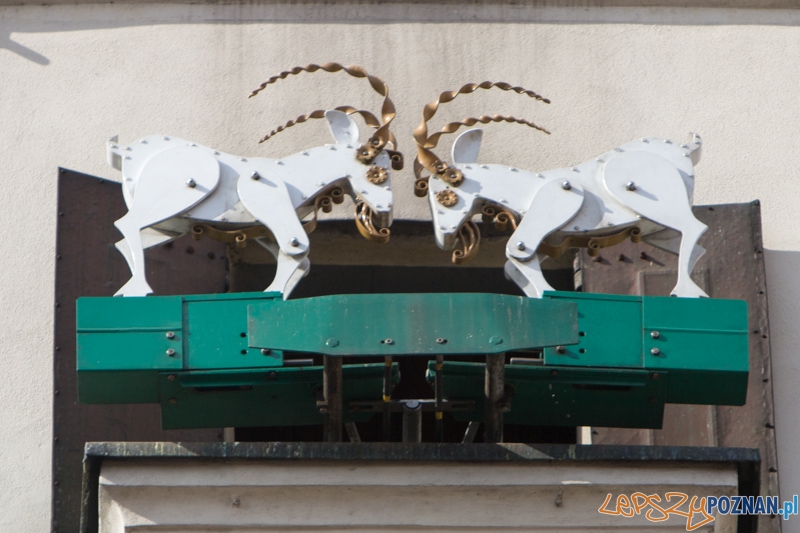Jubileuszowy 20-ty Kaziuk Wileński - Stary Rynek 3.03.2013 r. Foto: lepszyPOZNAN.pl / Piotr Rychter Jubileuszowy 20-ty Kaziuk Wileński - Stary Rynek 3.03.2013 r. Foto: lepszyPOZNAN.pl / Piotr Rychter