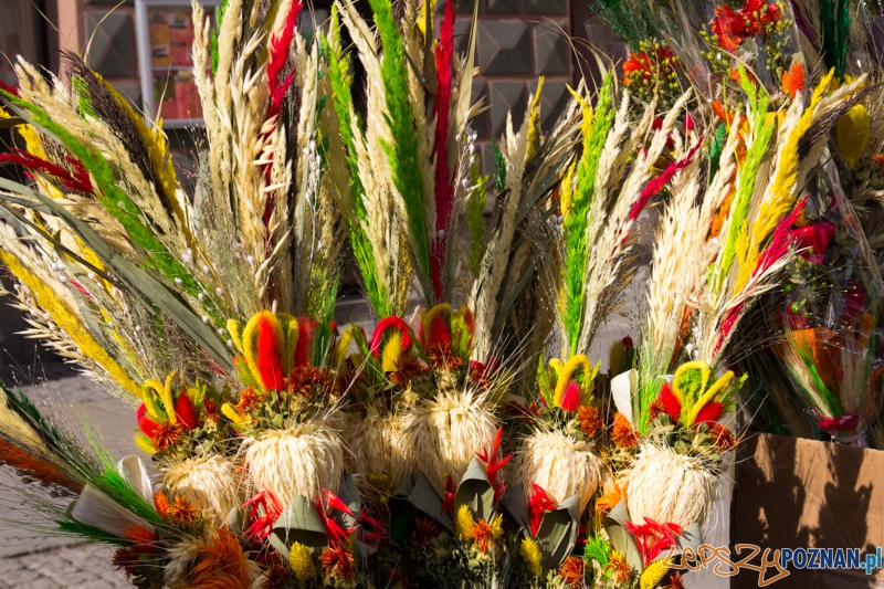 Jubileuszowy 20-ty Kaziuk Wileński - Stary Rynek 3.03.2013 r. Foto: lepszyPOZNAN.pl / Piotr Rychter Jubileuszowy 20-ty Kaziuk Wileński - Stary Rynek 3.03.2013 r. Foto: lepszyPOZNAN.pl / Piotr Rychter