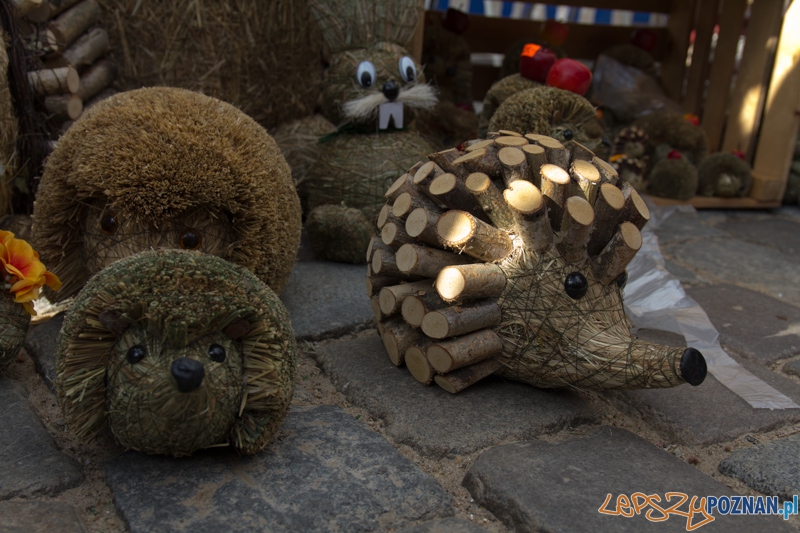 Jubileuszowy 20-ty Kaziuk Wileński - Stary Rynek 3.03.2013 r. Foto: lepszyPOZNAN.pl / Piotr Rychter Jubileuszowy 20-ty Kaziuk Wileński - Stary Rynek 3.03.2013 r. Foto: lepszyPOZNAN.pl / Piotr Rychter